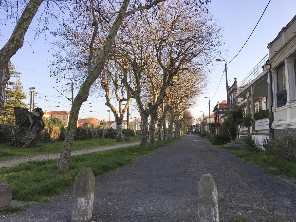 Lv Premier Granja Villa- Gr1 São Félix da Marinha Zewnętrze zdjęcie